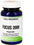 Fucus 2000 Kapseln