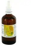 Grapefruit Kern Extrakt pur