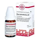 Rhus Toxicodendron D30 Globuli