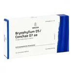 Bryophyllum D 5/conchae D7 Ampullen