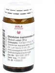 Glandulae Supraren. Comp. Globuli