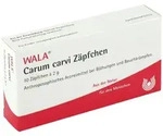 Carum Carvi Z&auml;pfchen