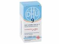 DHU Schüßler-Salz Nummer 9 Natrium phosphoricum D6 Globuli