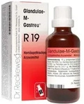 Glandulae M Gastreu R 19 Tropfen zum Einnehmen