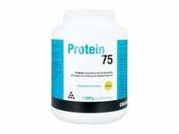 Protein 75 Vanille Pulver