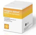 Magno Sanol uno 243 mg Magnesium Kapseln