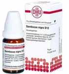 Sambucus Nigra D12 Globuli