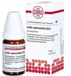 Luffa Operculata D12 Globuli