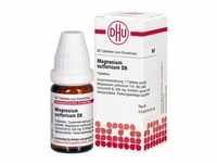 Magnesium Sulfuricum D6 Tabletten