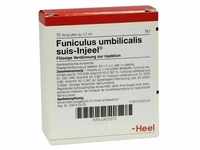 Funiculus Umbilicalis suis Injeel Ampullen