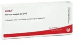 Nervus Vagus Gl D12 Ampullen