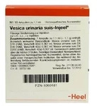 Vesica urinaria suis-Injeel Ampullen
