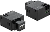 Delock Keystone module - Modulare Eingabe - USB-Ladefunktion