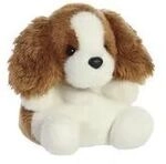 Aurora PP Lady Spaniel Dog