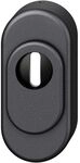 FSB Sicherheitsrosette 73 3249 oval PZ mit Kernziehschutz, Aluminium schwarz