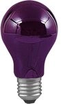 Paulmann GL&Uuml;HLAMPE SCHWARZLICHTIMIT. / PAULMA 590.70 240V 75W E27 59070