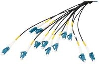DIGITUS Vorkonfektionierte Glasfaser Universal Breakout Kabel, Singlemode OS2, 12