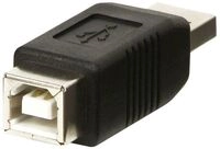 Lindy USB-Adapter - USB (M) zu USB Typ B (W)