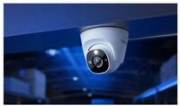 Reolink Professional Series RP-PCT8M - Netzwerk-&Uuml;berwachungskamera - Kuppel -