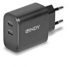 Lindy 65W USB 2 x Type C GaN Charger mit EU-Stecker