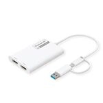 ROLINE Multi-DisplayLink Adapter USB Typ A+C - 2x HDMI, Multi-Stream 4K