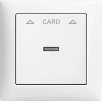 BUSCH-JAEGER 2CKA001710A4067, Busch-Jaeger CARDSCHALTER / BUSCH 1792-914