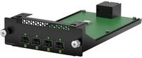 Netgear APM414V - Erweiterungsmodul - SFP28 x
