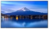 NEC P436 43IN LFD UHD 700cd/m2 D-LE