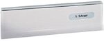 RENZ Einwurfklappe zu T&uuml;r-Durchwurfbriefkasten, 370 x 82 mm, silber eloxiert