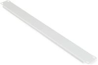 ROLINE Blindabdeckung - RAL 7035, Hellgrau - 1U - 48.3 cm (19")