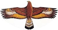 PBS Deutschland S&uuml;d GmbH & Co.KG Drachen Steinadler, 122x68cm G&Uuml;NTHE