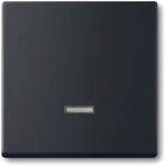 Busch-Jaeger FU/SO BED.EL.MEM-D. / BUSCH 6543-885-101 2CKA006599A2968