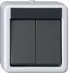 Gira TASTER BA 2F 2 PKT WG AP GRAU / GIRA 516230