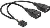 Delock USB-Kabel intern auf extern - USB (W)