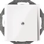Merten ZENTRALPL. F. LEITUNGSAUSLASS / MERTEN 2963 19 SYS.M PWS GL 296319