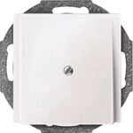 Merten ZENTRALPLATTE LEITUNGSAUSLASS / MERTEN 2956 19 PWS 295619