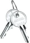Rittal SICHERHEITSSCHL&Uuml;SSEL / RITTAL SZ 2532.000 (PA=2ST) 2532000