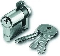 BUSCH-JAEGER 2CKA000470A0021, Busch-Jaeger PROFIL-HALBZYLINDER 0521 PZ-GS / BUSCH
