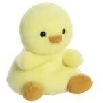 Aurora PP Betsy Chick