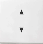 GIRA 861603, Gira WIPPE PFEILSYMBOLE SYS55 RWS / GIRA 861603