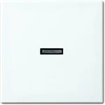 Busch-Jaeger WIPPE KONTROLLF. / BUSCH 1789 N-914 2CKA001731A2009
