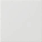Gira BEDIENAUFSATZ REINWEI&szlig; / GIRA 536003 S3000 RWS 536003