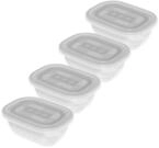 Rotho Set Gefrierdosen 4 x 0.5 l FREEZE Transparent
