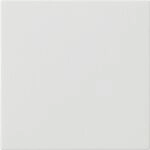 Gira BEDIENAUFSATZ RWS SEIDENMATT / GIRA 536027 S3000 RWS 536027