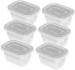 Rotho Set Gefrierdosen 6 x 0.25 l FREEZE Transparent