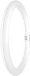 Ledvance LED RINGR&Ouml;HRE 18,3W 840 G10Q / LEDVAN LED TUBE T9 EM V 4099854042522