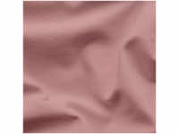 schlafgut EASY Jersey Spannbettlaken - Purple Mid - 120-130x200 cm