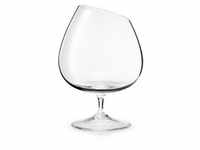 6er Spar-Set | Eva Solo Cognac Drinkglas - Premium-Glas - 210 ml 541014-6-er-Set