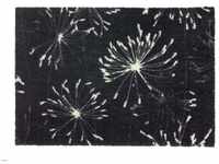 SCHÖNER WOHNEN Manhattan Fußmatte - Pusteblume anthrazit-mint - 67x100 cm