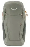 Salewa Alp Trainer 20L Rucksack 55 cm gr&uuml;n